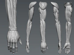 Attack on Titan Titan Titan 60m 3D Print Model