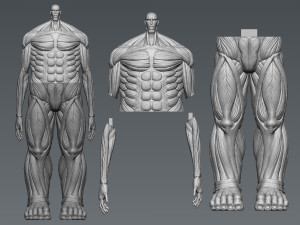 Attack on Titan Titan Titan 60m 3D 프린트 모델