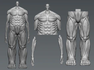 Attack on Titan Titan Titan 60m 3D Print Model