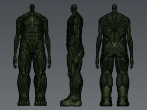 Attack on Titan Titan Titan 60m 3D Print Model
