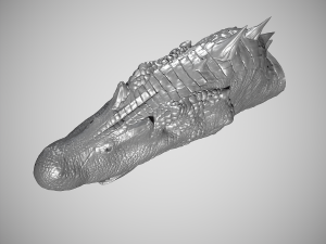 Spinosaurus Head Modelo de Impressão 3D