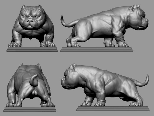 Exótico Pitbull Americano Modelo de Impressão 3D .c4d .max .obj .3ds .fbx .stl .blend