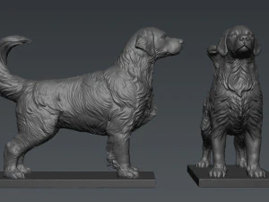 Golden Retriever 3D Print Model