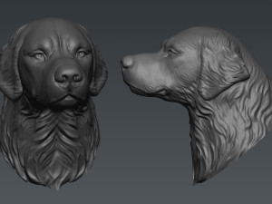 Golden Retriever Modello di stampa 3D
