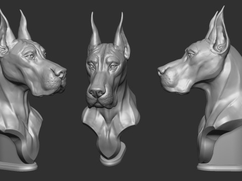 Great Dane Busht 3D Принт Модель