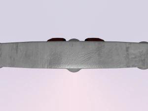 medieval shield 3D Model