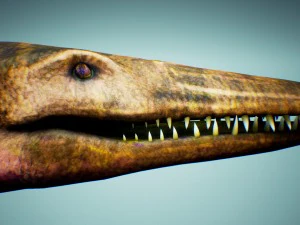 ocean pliosaur pack with ue4 support 3D Model