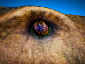 ocean pliosaur pack with ue4 support 3D-Modell