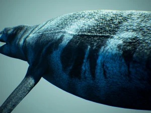 ocean pliosaur pack with ue4 support 3D Model