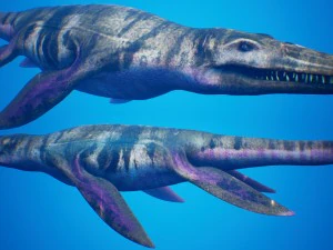 ocean pliosaur pack with ue4 support 3D Model