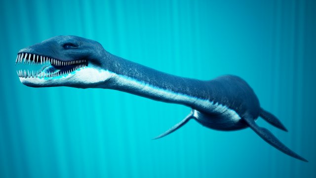 ocean plesiosaur pack - with ue4 support Modèle 3D .c4d .max .obj .3ds .fbx .stl .blend 