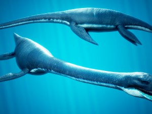 ocean plesiosaur pack - with ue4 support Modèle 3D