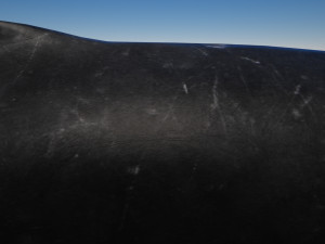 humpback whale with octane support 3D-Modell
