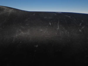 humpback whale with octane support 3D Model