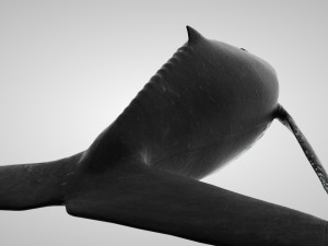 humpback whale with octane support 3D-Modell