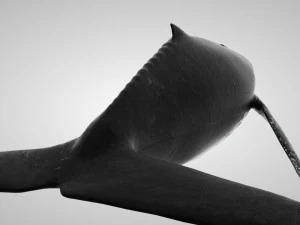 humpback whale with octane support 3D Model