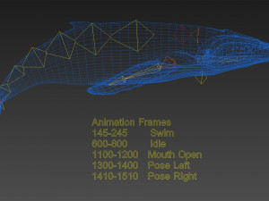 humpback whale with octane support 3D-Modell