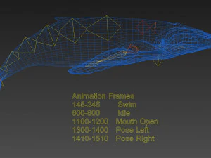 humpback whale with octane support 3D Model