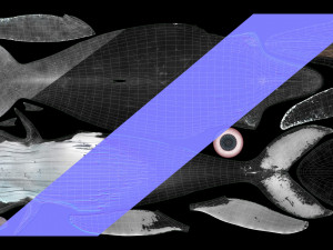 humpback whale with octane support 3D-Modell
