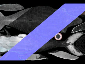 humpback whale with octane support 3D Model