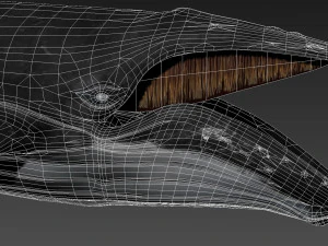 humpback whale with octane support 3D Model