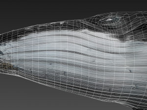 humpback whale with octane support 3D-Modell