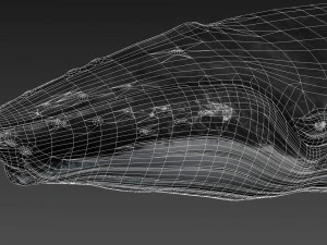 humpback whale with octane support 3D Model