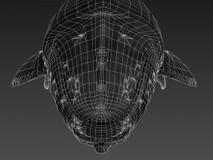 humpback whale with octane support 3D-Modell