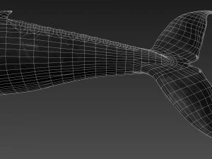 humpback whale with octane support 3D Model