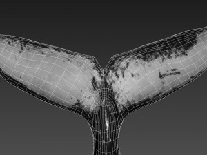 humpback whale with octane support 3D-Modell