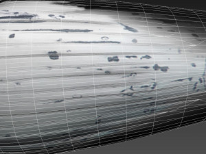 humpback whale with octane support 3D-Modell