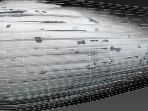 humpback whale with octane support 3D Model