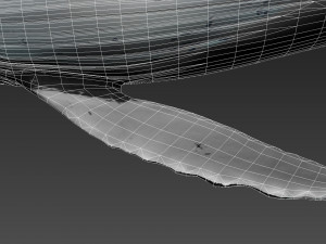 humpback whale with octane support 3D-Modell