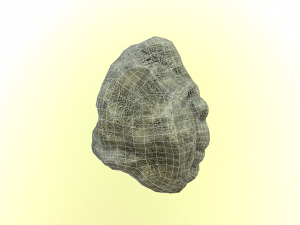 stone Modelo 3D