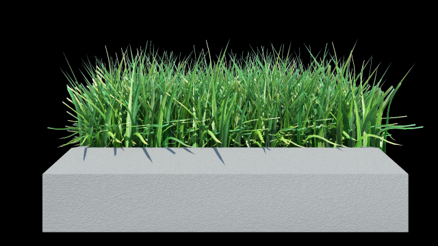 grass 3D Model .c4d .max .obj .3ds .fbx .stl .blend 