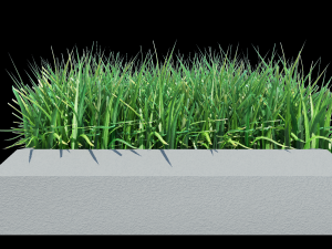 grass 3D Model