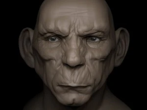 orge head 3D Print Model