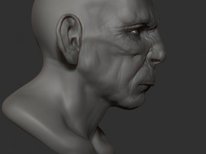 orge head 3D Print Model