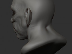 orge head 3D Print Model