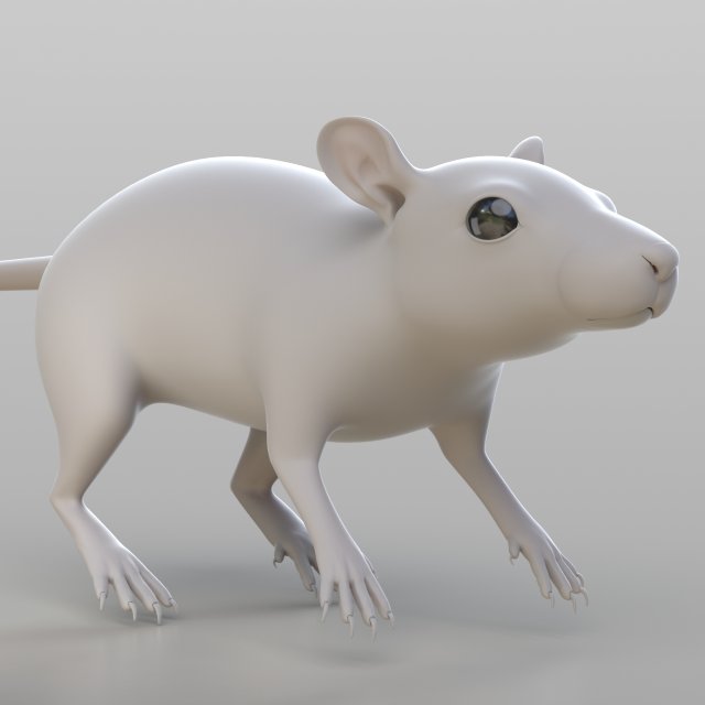 realistic rat 3D Model .c4d .max .obj .3ds .fbx .stl .blend 