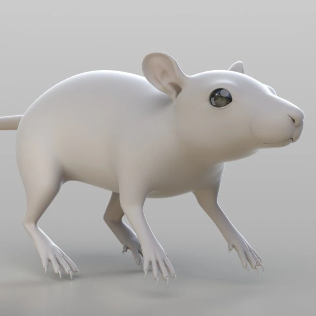 realistic rat 3D Model .c4d .max .obj .3ds .fbx .stl .blend 