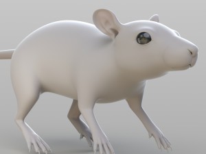 realistic rat 3D Model