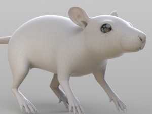 realistic rat 3D Model