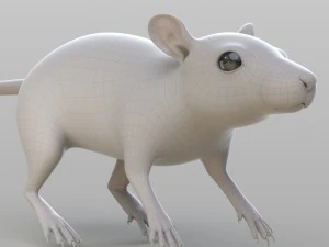 realistic rat 3D Model