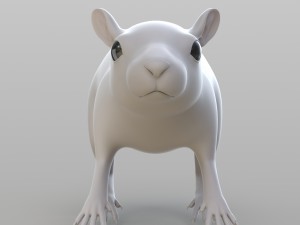 realistic rat 3D Model