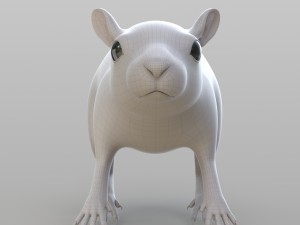 realistic rat 3D Model