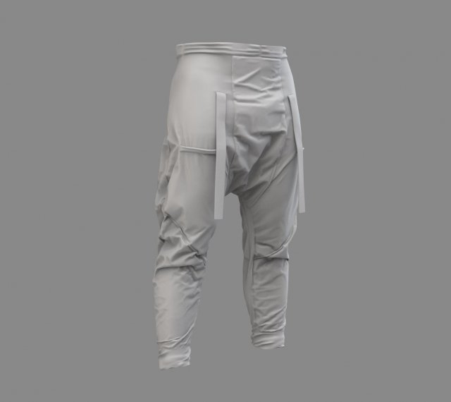 3D model Cargo Pants VR / AR / low-poly | CGTrader