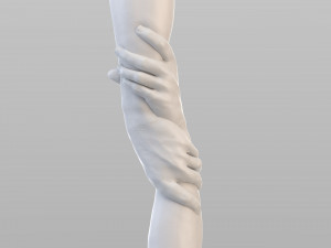realistic grabbed hands Modelo 3D