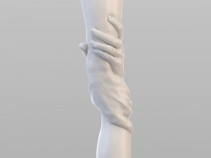 realistic grabbed hands 3D Модель