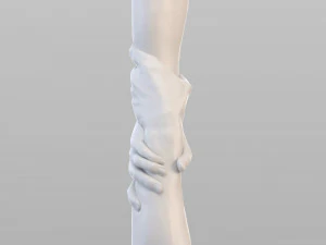 realistic grabbed hands 3D Model